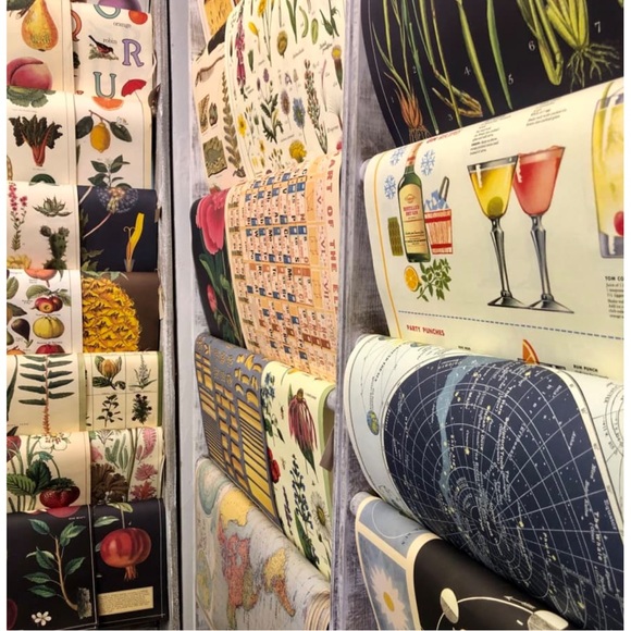 Cavallini & Co. Octopods Vintage Science Chart Octopus Image Poster - NWT - Picture 8 of 9